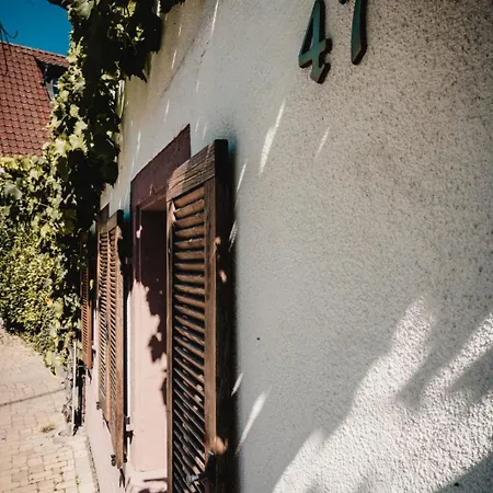 Apartment Muskateller